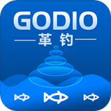 Godox Light软件