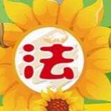 青少年文化地图软件