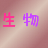 初中生同步课堂软件
