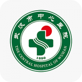 武汉市空气质量软件