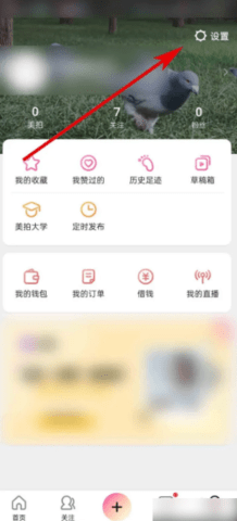 美拍app