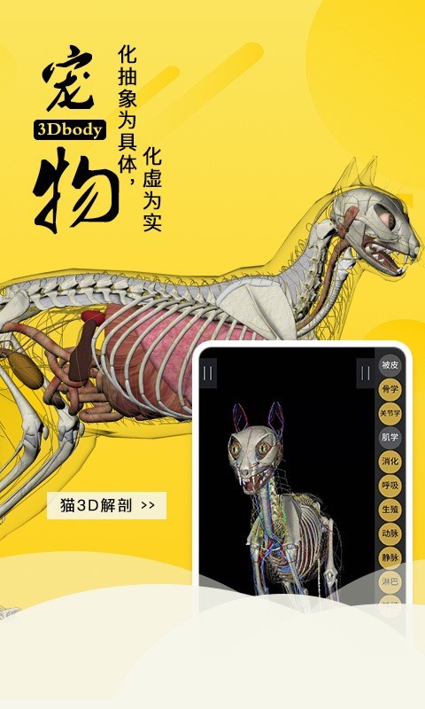 3Dbody艺用软件