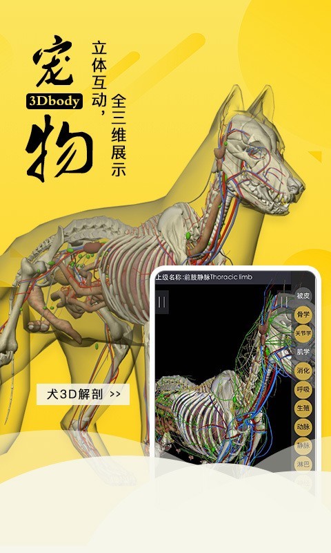 3Dbody艺用软件