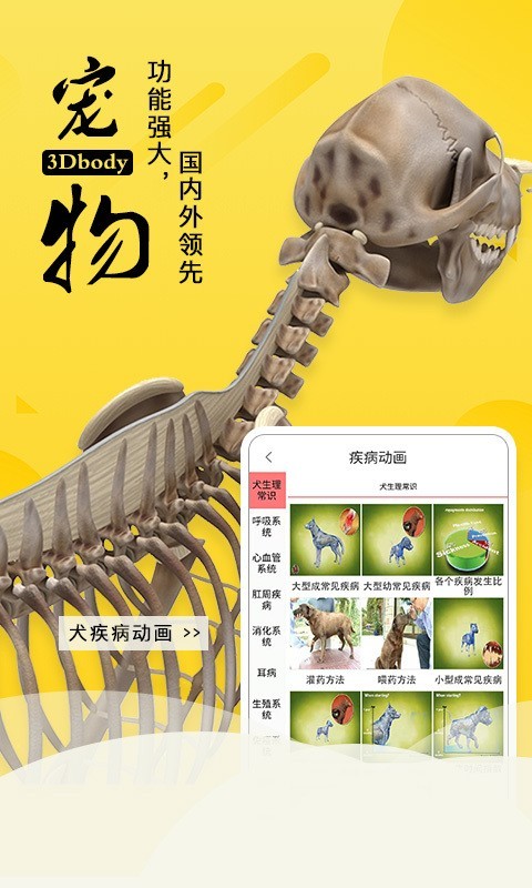 3Dbody艺用软件