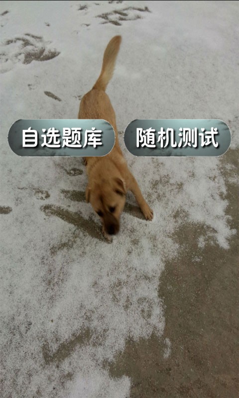 中考物理通软件