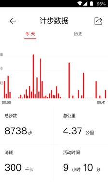 corumi软件