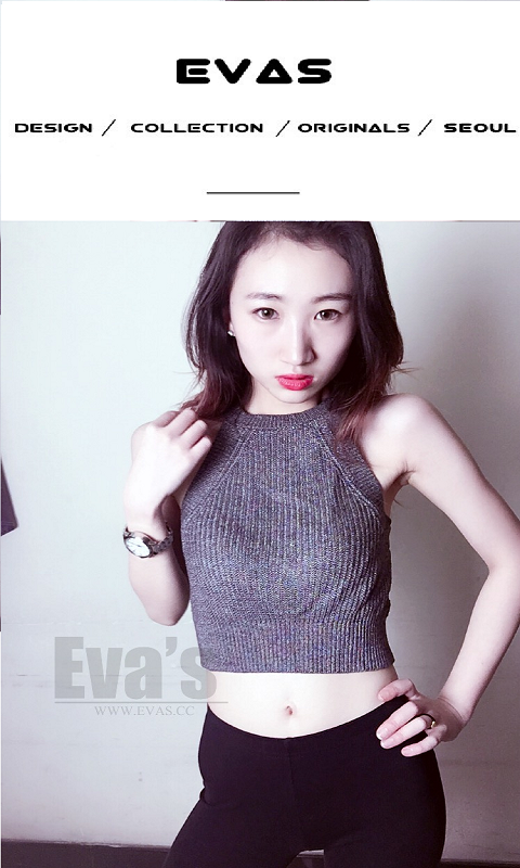 EVAS软件