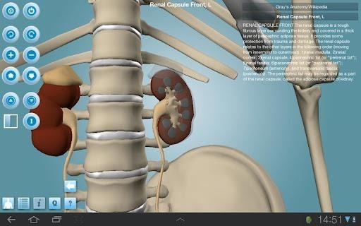 Anatomy VR Lab软件