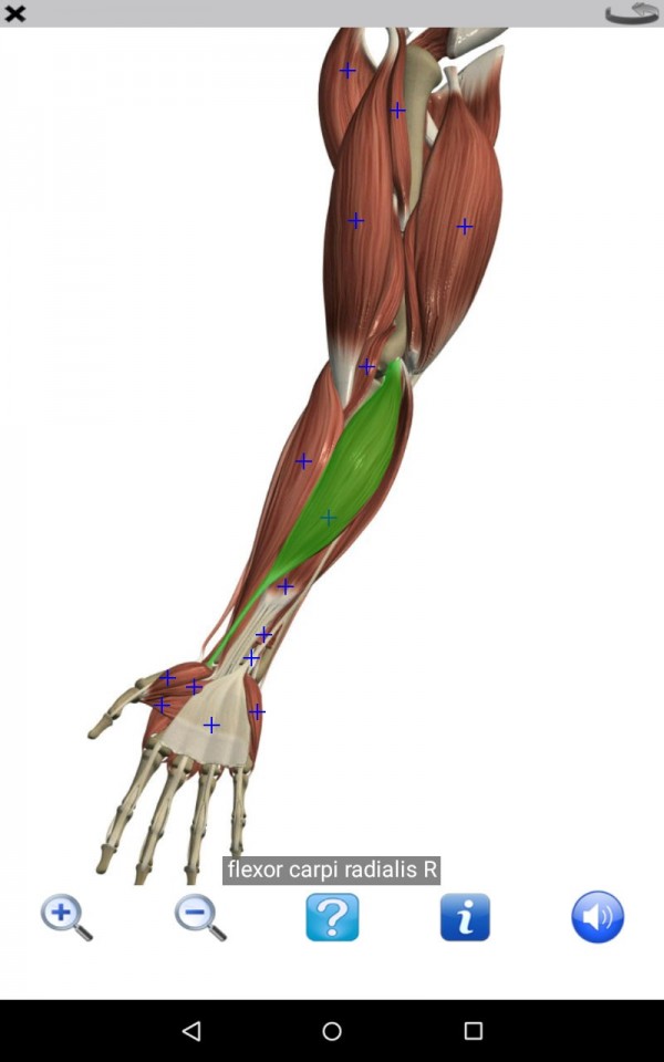 visible body软件