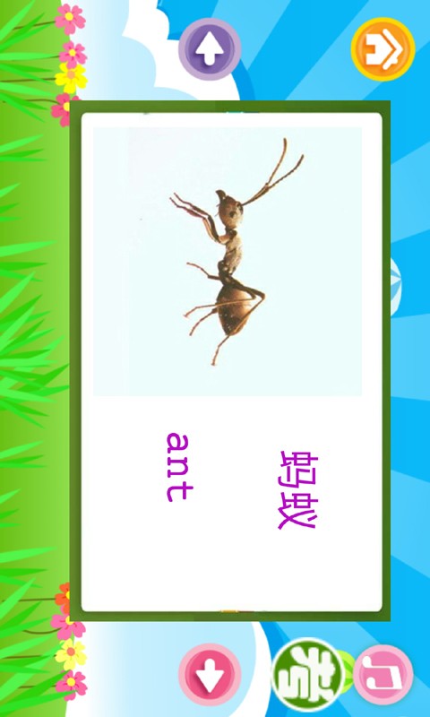 儿童英语口语听力大全软件