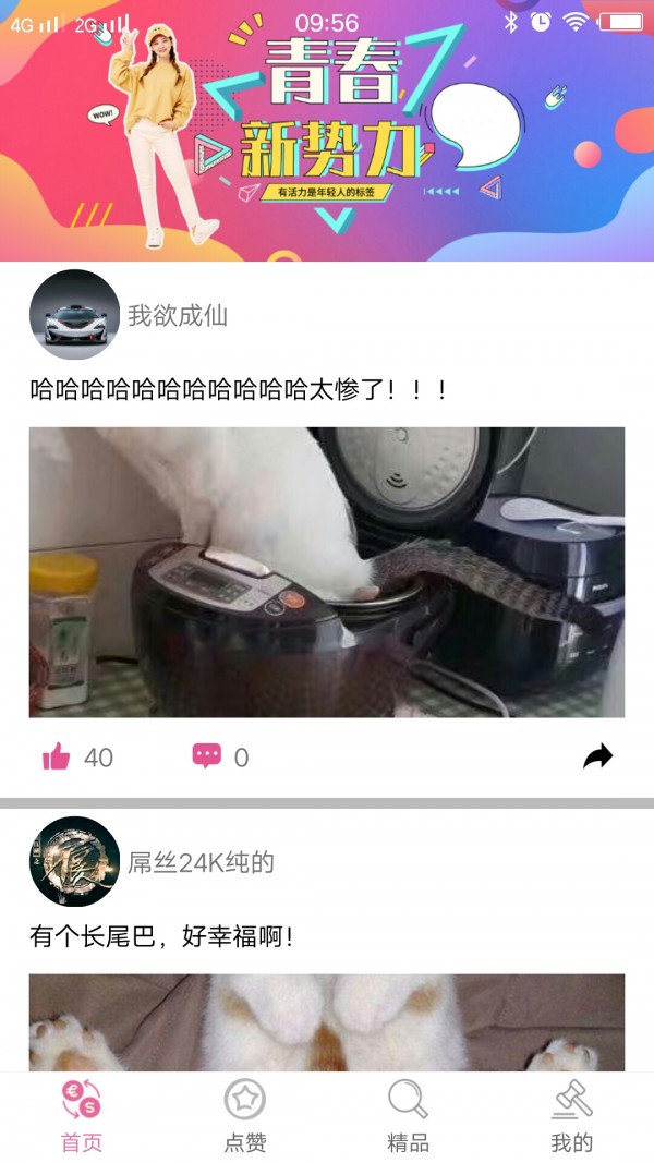 空间人气大师软件