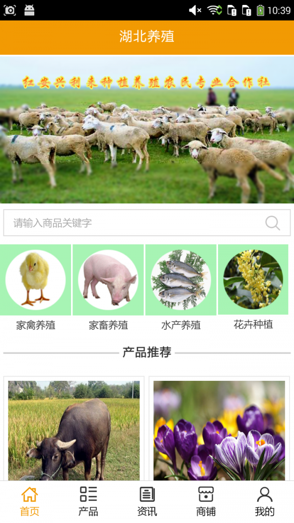湖北养牛软件