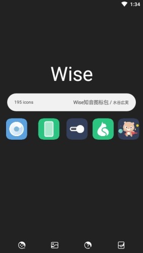 Wise浏览器软件