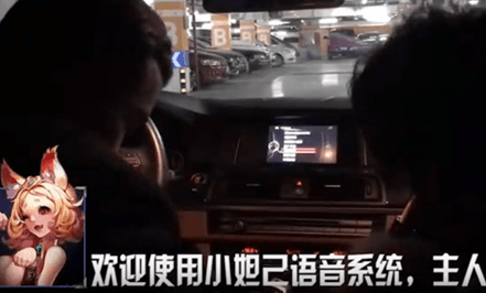 小妲己语音系统软件