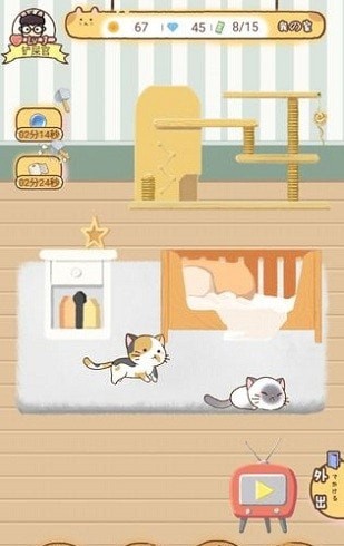 猫宅97手游