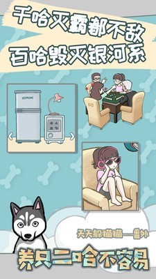养只二哈不容易手游