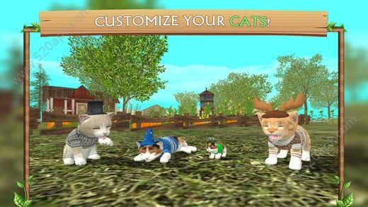 猫咪生存日记手游