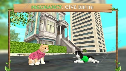 猫咪生存日记手游