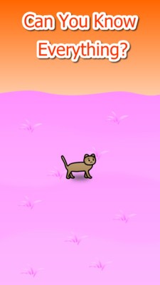 流浪猫塔防手游