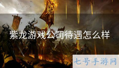 紫龙游戏公司待遇怎么样